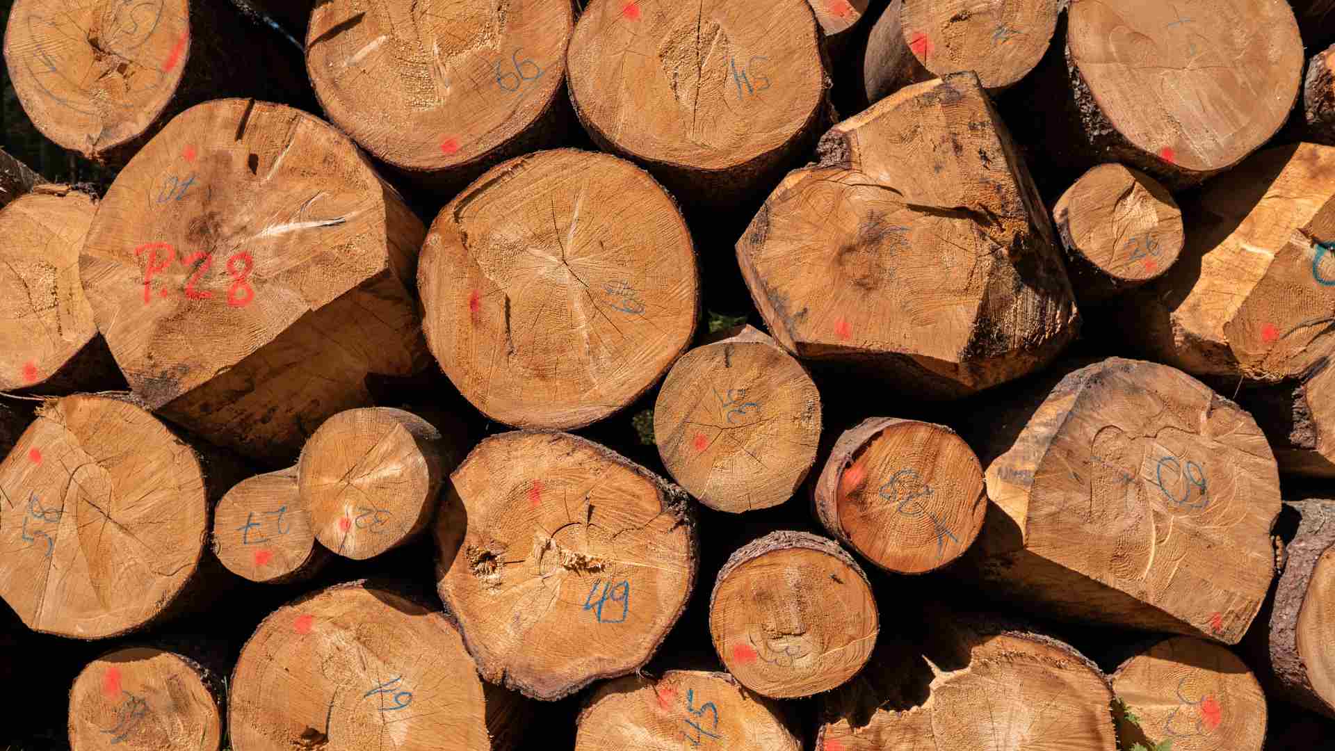 How Quality Control Determines the Standard of Indonesian Export Outdoor Furniture